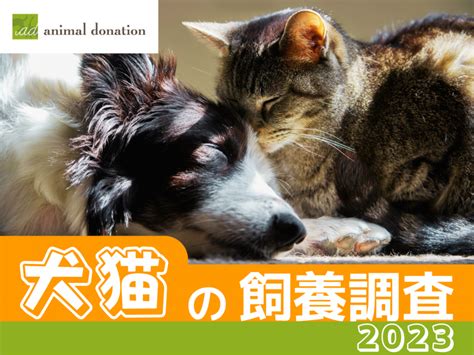 飼養人|犬猫飼い主や動物福祉のいま 2023年度全国調査から。